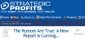 Rich Schefren's Blog Strategic Profits New Report